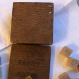 Wooden game "the tease morel"