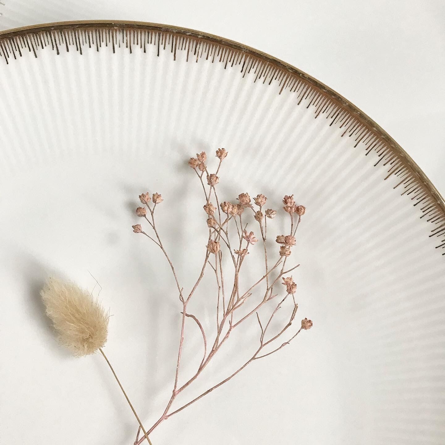 Lot of 6 flat porcelain plates