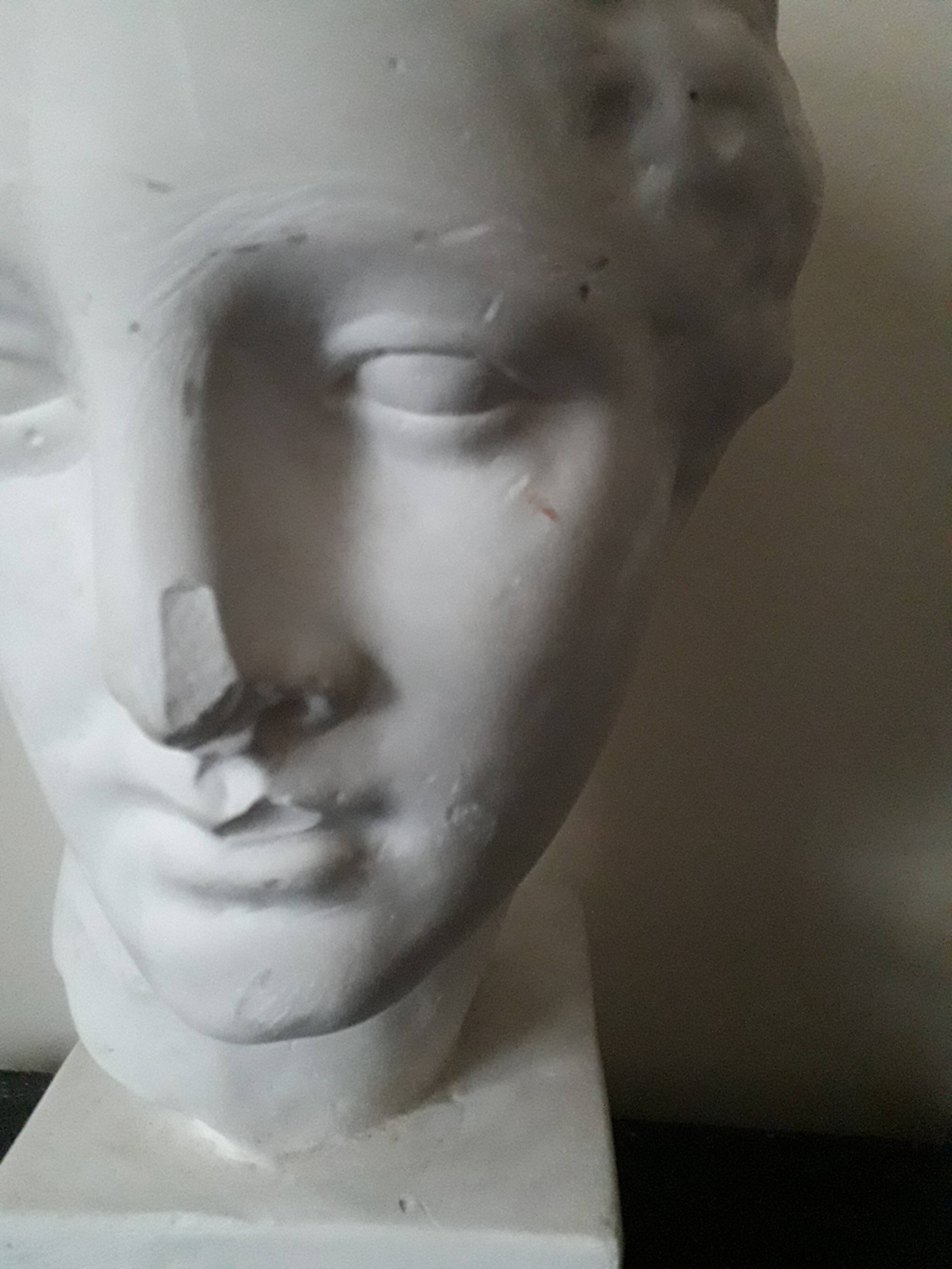 Bust plaster Aphrodite early XX th