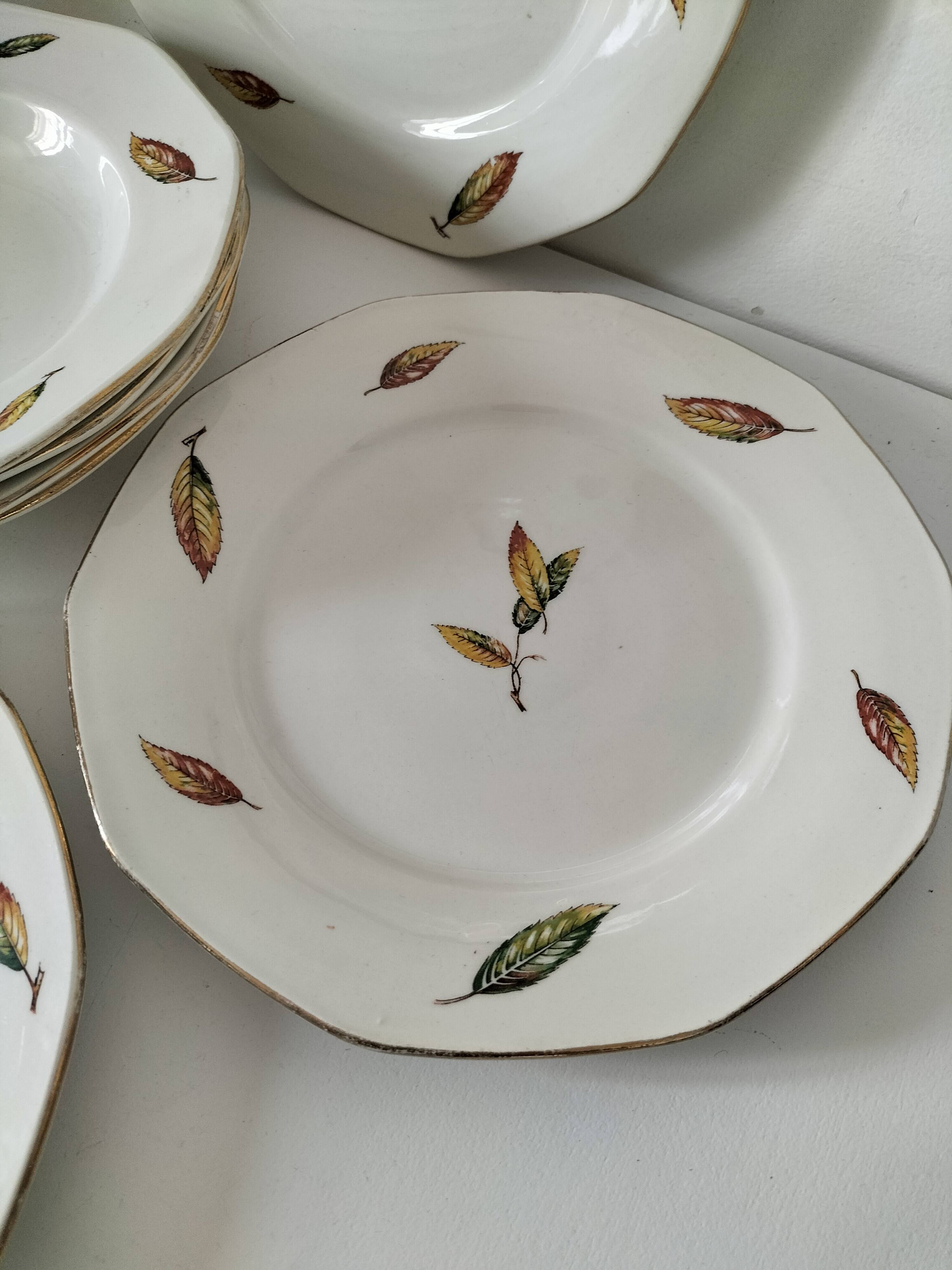 7 assiettes plates et creuses en faïence opaque Digoin Sarreguemines Nemours