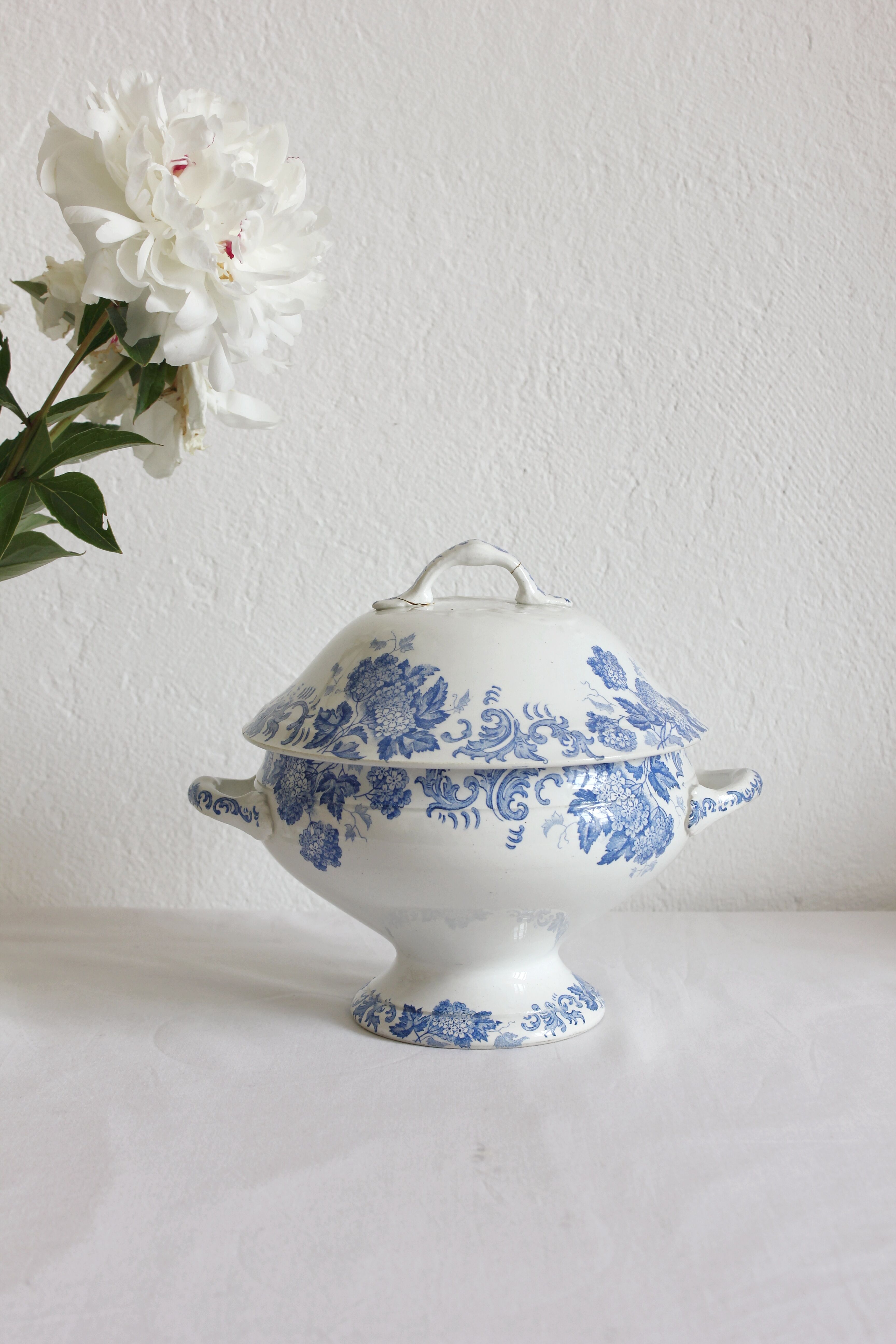 Ironstone tureen, "Snowball" pattern, Saint Amand et Hamage