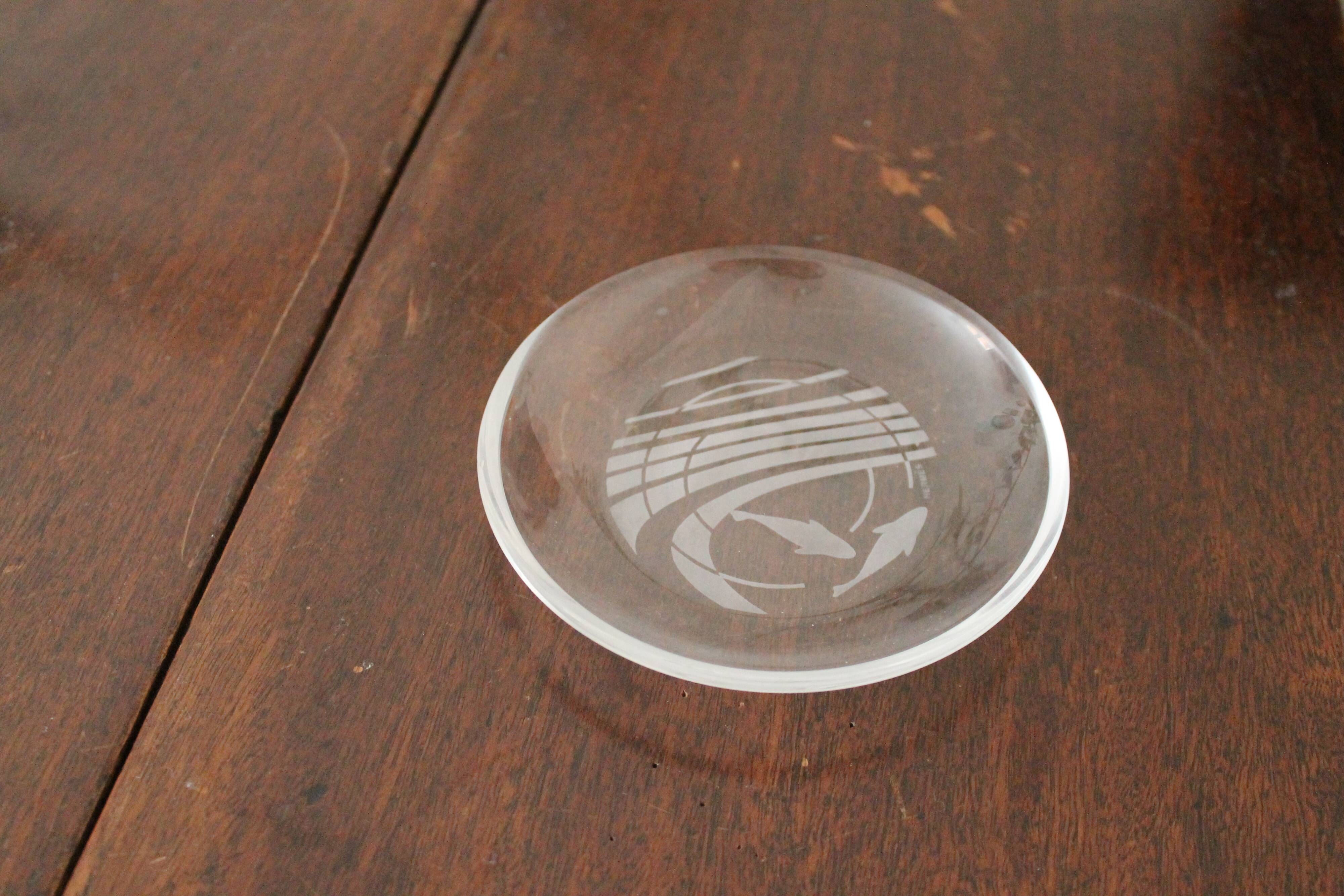 Hermès pair of glass plates with a dolphin pattern.
