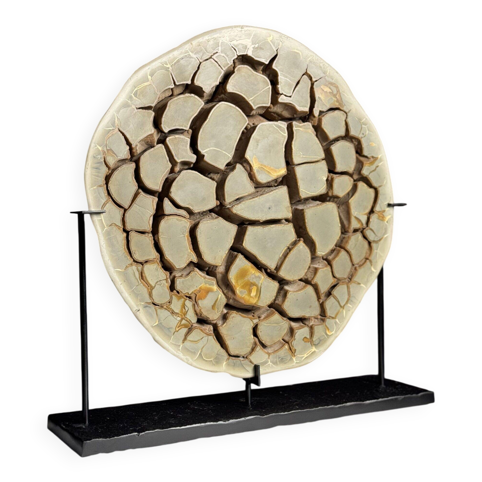 Septaria nodule on custom stand