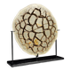 Septaria nodule on custom stand