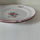 Pair of hand-painted antique plates – antique rose motif