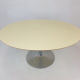 Oval Dining Table by Pierre Paulin for Artifort