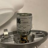 Pair of Italian Murano glass sconces