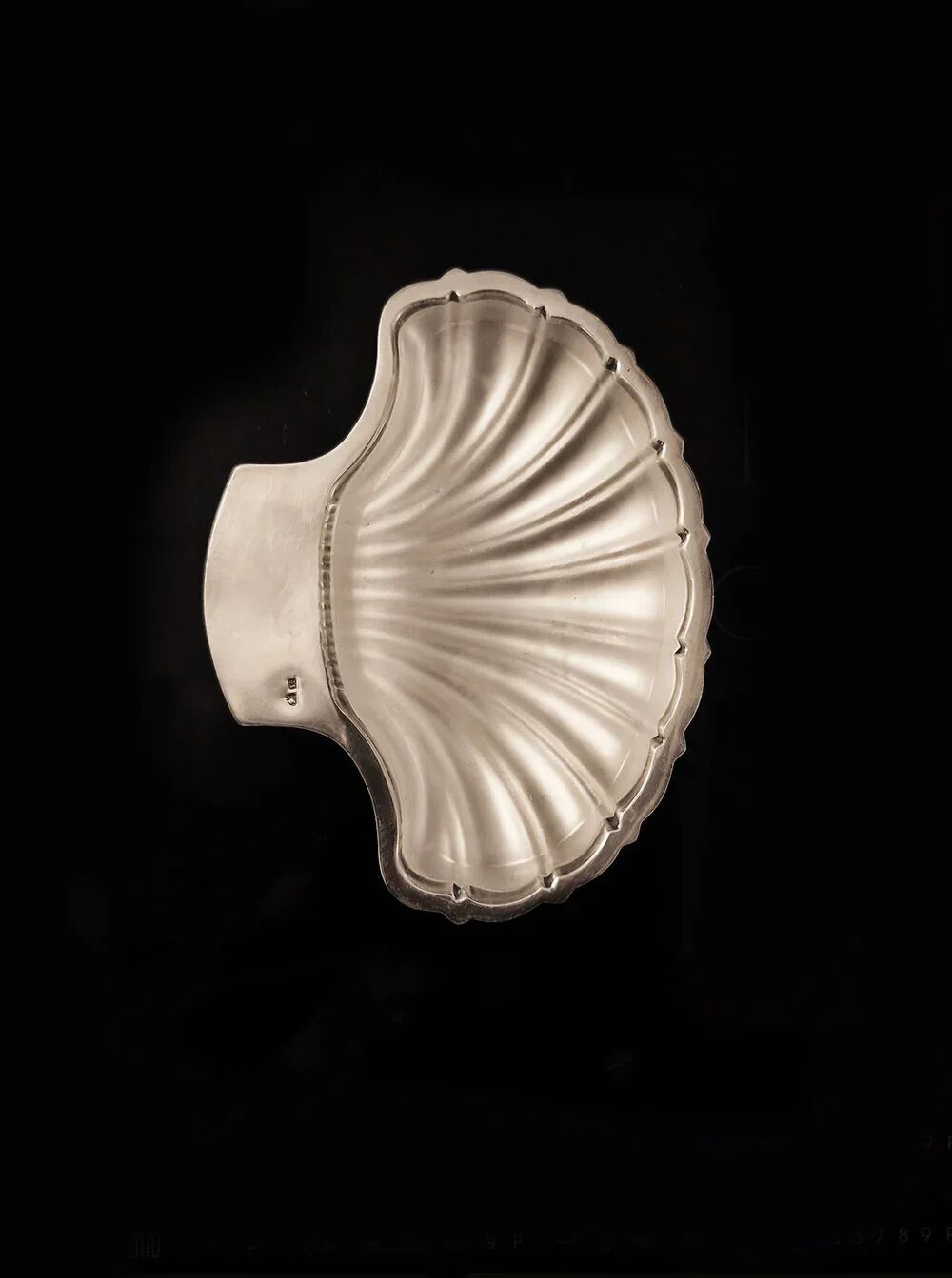 Beurrier coquillage