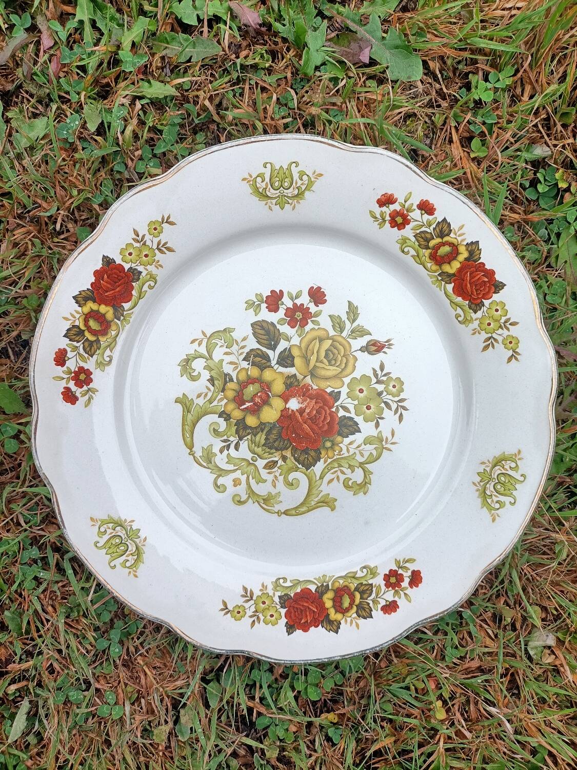 Digoin Sarreguemines dinner plate