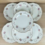 7 flat plates l'amandinoise