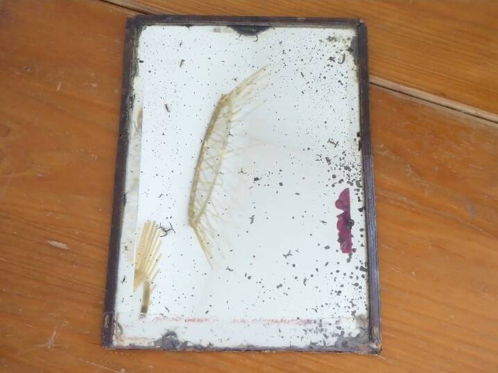 Table mirror on a brass easel