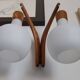 double teak wall lamp and Scandinavian suspended opalines