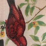 Bird painting