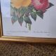 2 paintings with period lithographed flowers and gilded wooden frame.