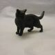 Vienna bronze/cat
