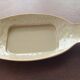 Fish shaped dish
