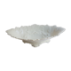 Large old ravier cut in white porcelain