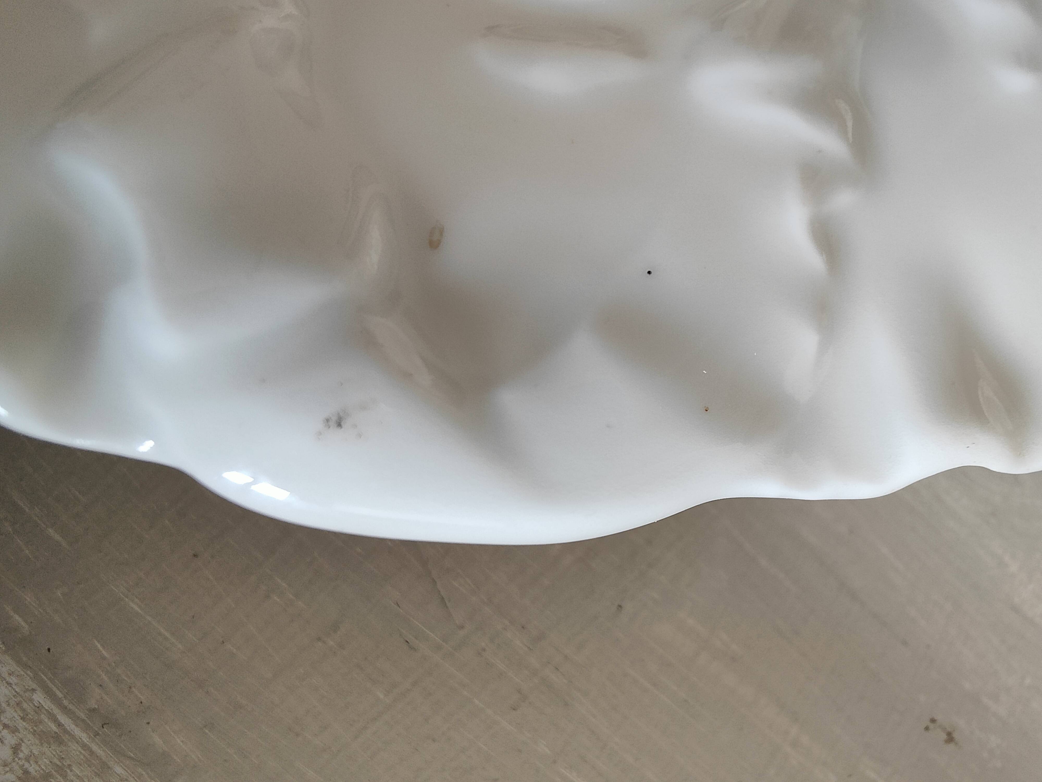 Oyster plate 19th century porcelain Haviland & Co Limoges France