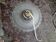 Suspension en verre holophane 1920