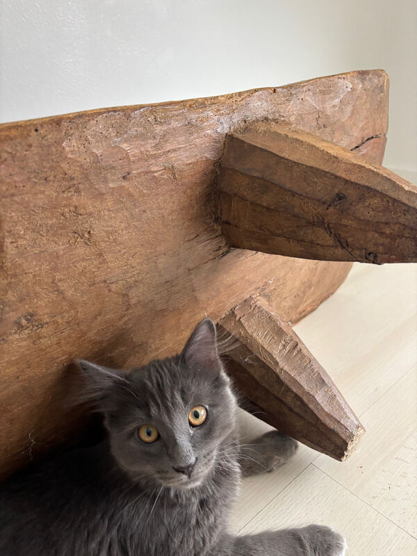 Grand banc ancien monoxyle en bois massif – 173 cm – pièce sculpturale