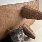 Large antique monoxyle bench in solid wood – 173 cm – sculptural piece