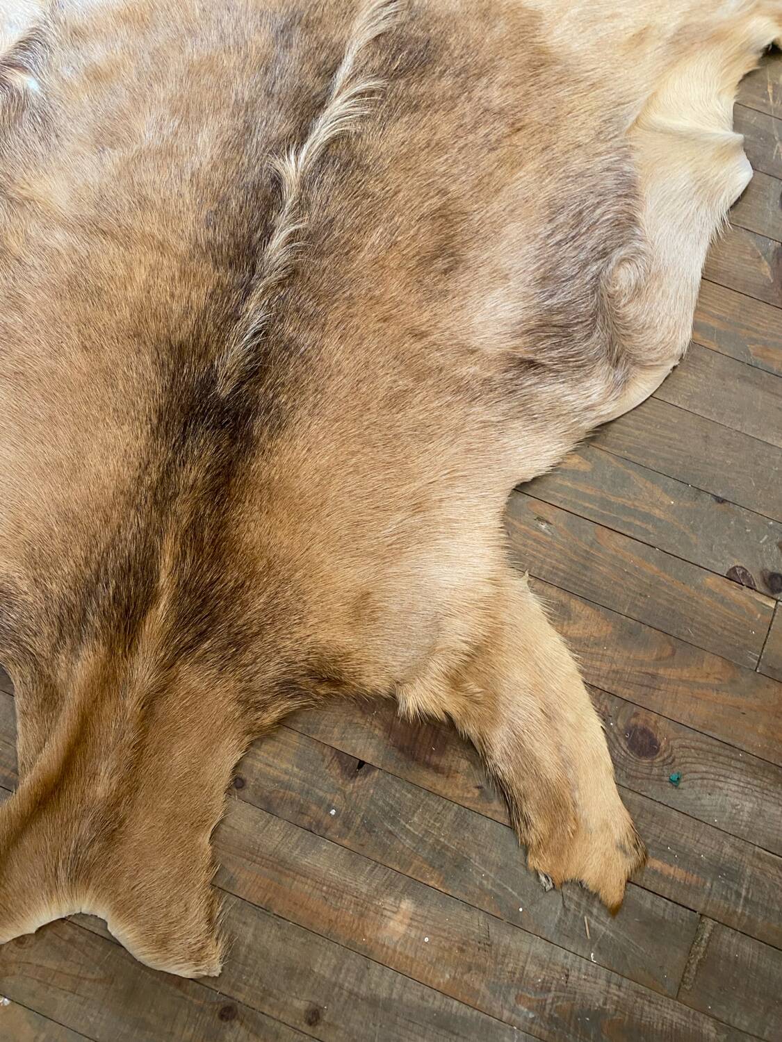 Vintage rug