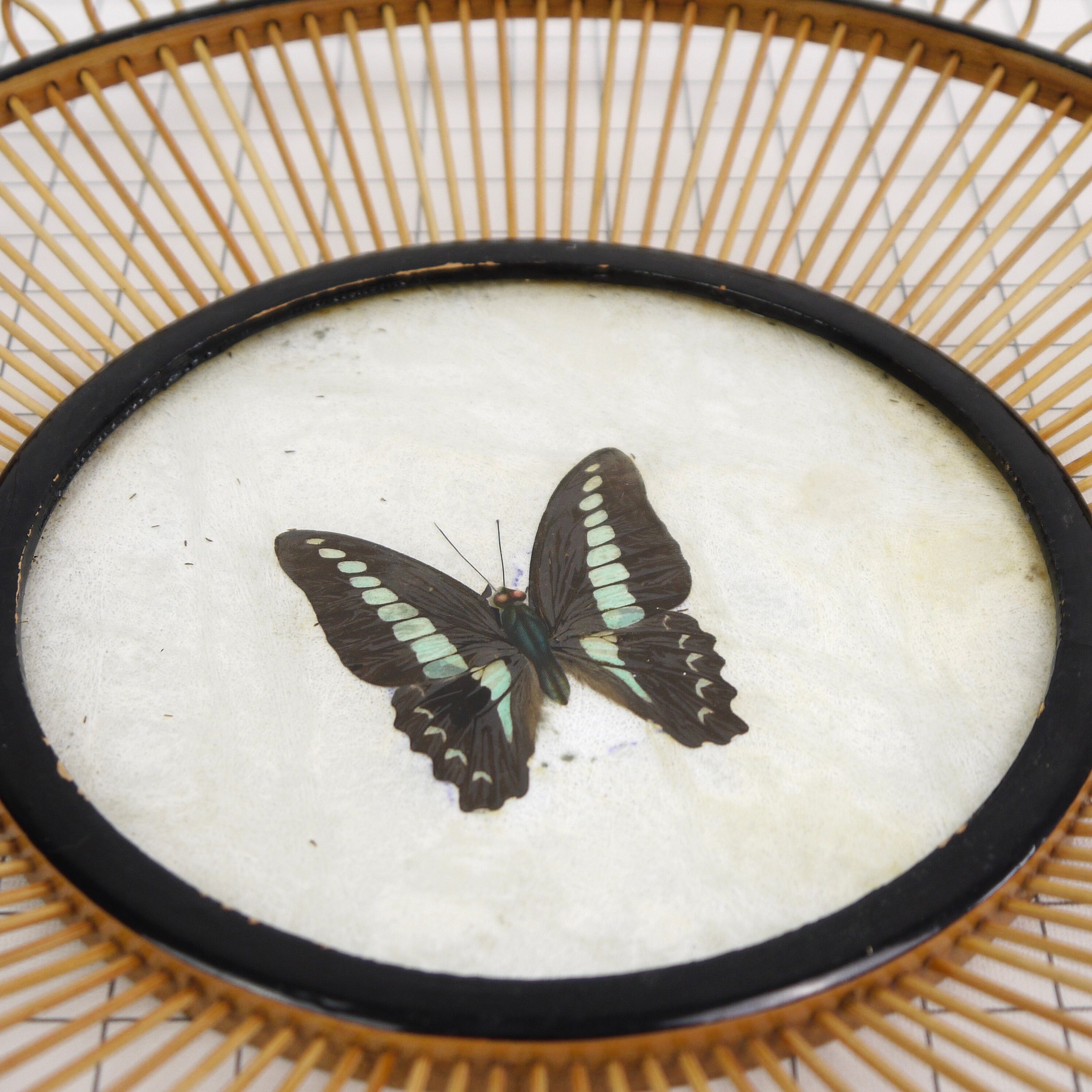 Wicker fruit basket with butterfly