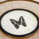 Wicker fruit basket with butterfly