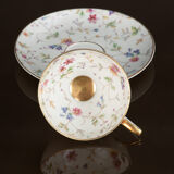 Cup and saucer set in bavaria 1950 porcelain