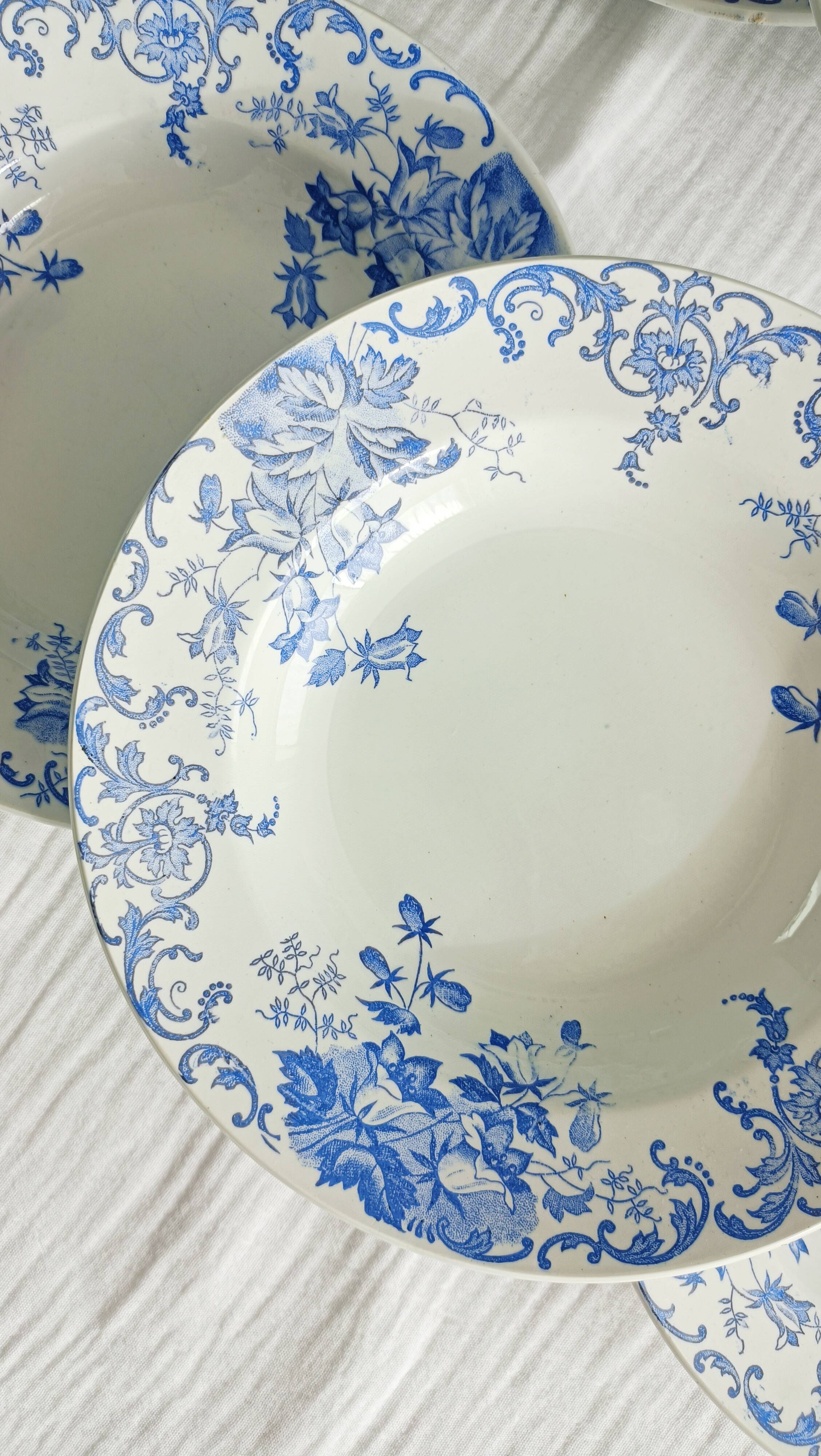 Set of 6 Saint Amand et Hamage iron earth soup plates, Bellflower