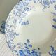 Set of 6 Saint Amand et Hamage iron earth soup plates, Bellflower