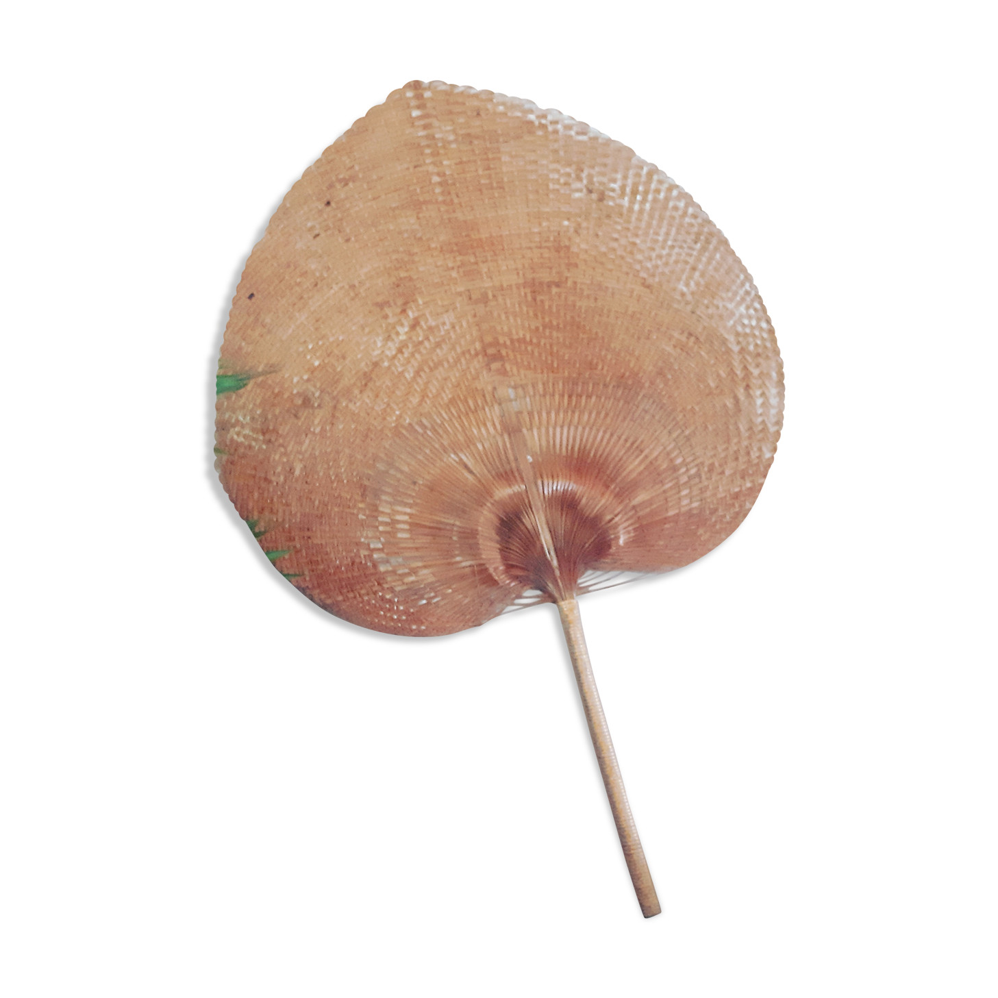 Grande palme en osier des années 60