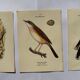 Lot 3 Botanical engravings birds double-sided naturalist board Etching