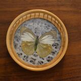 bamboo and glass butterfly tray + 4 coasters