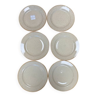 Beige ceramic dinner plates