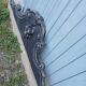 Antique carved wooden pediment