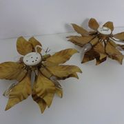 Golden Flower Shape Flushmounts by Hans Kögl, 1970s, Set of 2