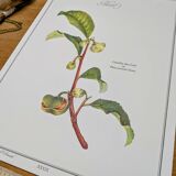 Printed in 1986, The Tea Planter. Original Vintage and Authentic.