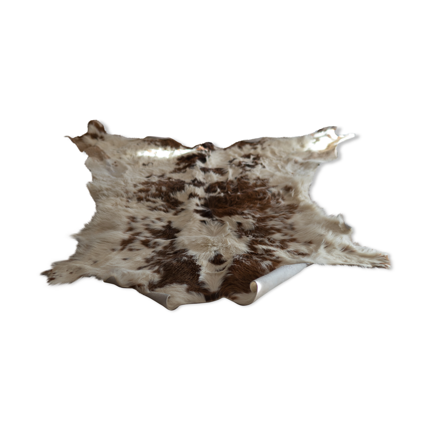 Tanned Norman calf skin