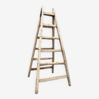 Old wooden painter's ladder