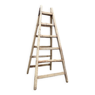 Old wooden painter's ladder