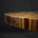 Mid-Century German Modern Round Rosewood Coffee Table from Ilse Möbel