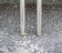 Castiglietta chairs by Achille Castiglioni & Marcello Malein for Zanotta, 1967