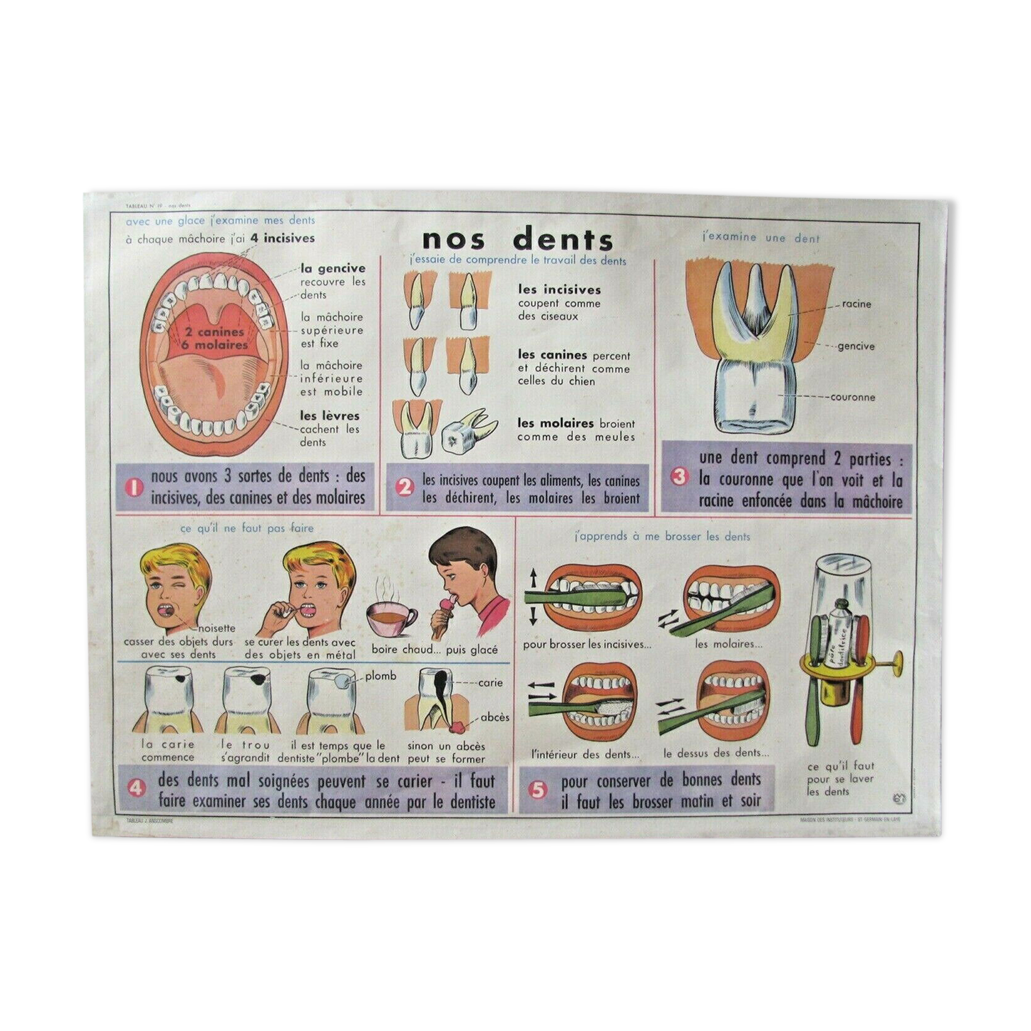 School poster, our eyes our teeth