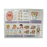 Affiche scolaire, nos yeux nos dents