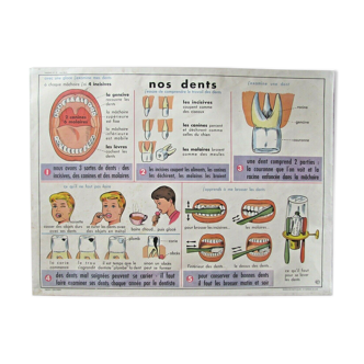 Affiche scolaire, nos yeux nos dents