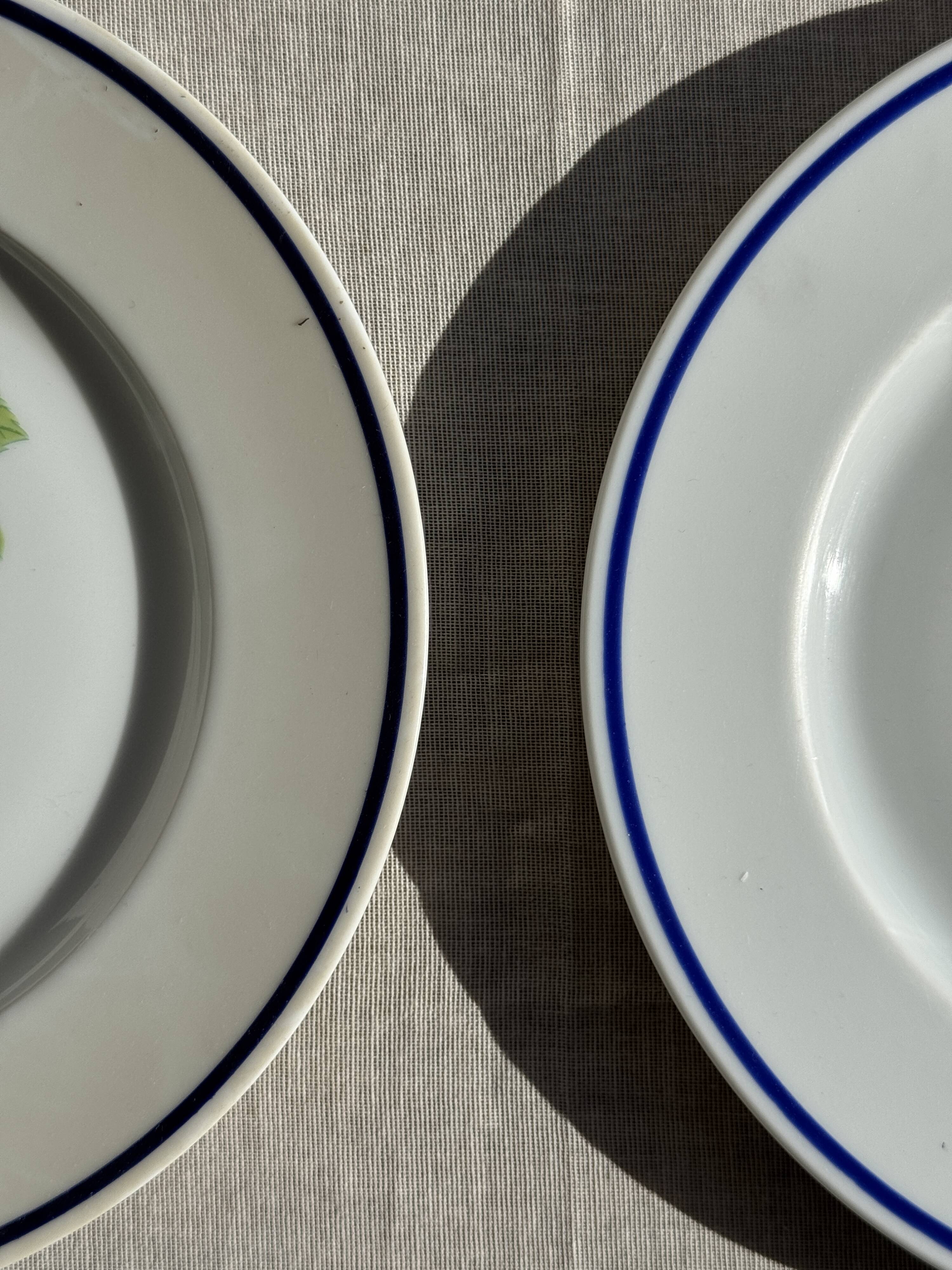 Set of 12 cheese plates France Chavroux 1990s D 21.5