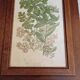 Duo botanical frames by hofleverancier