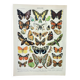 Antique engraving 1898, Butterflies of Europe, insects • Lithograph, original illustration