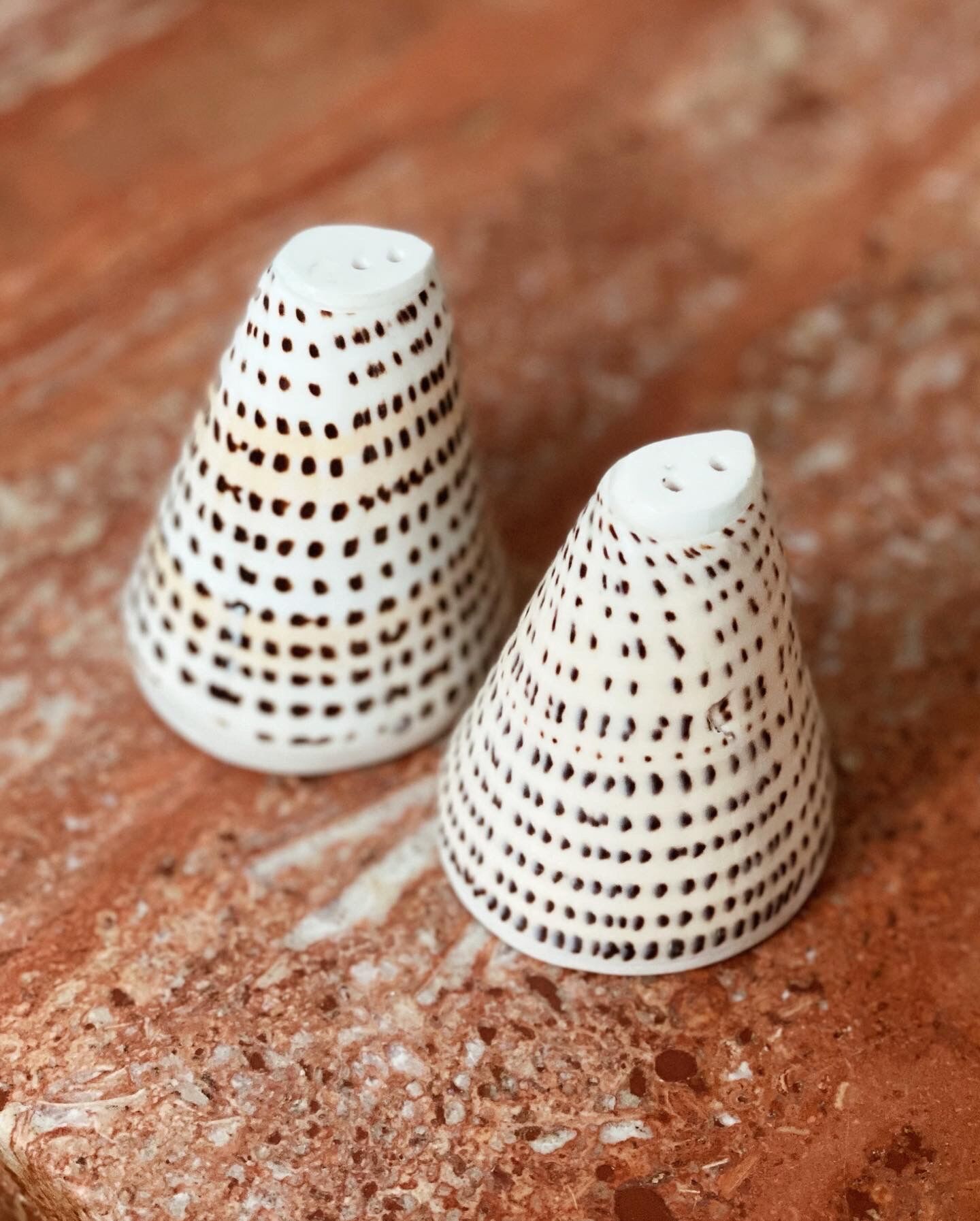 Vintage bohemian tiger shell salt and pepper shaker